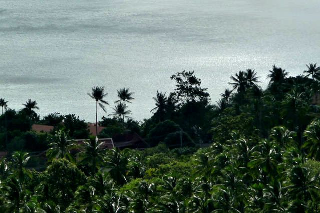  vue sur la mer du studio Dream a louer